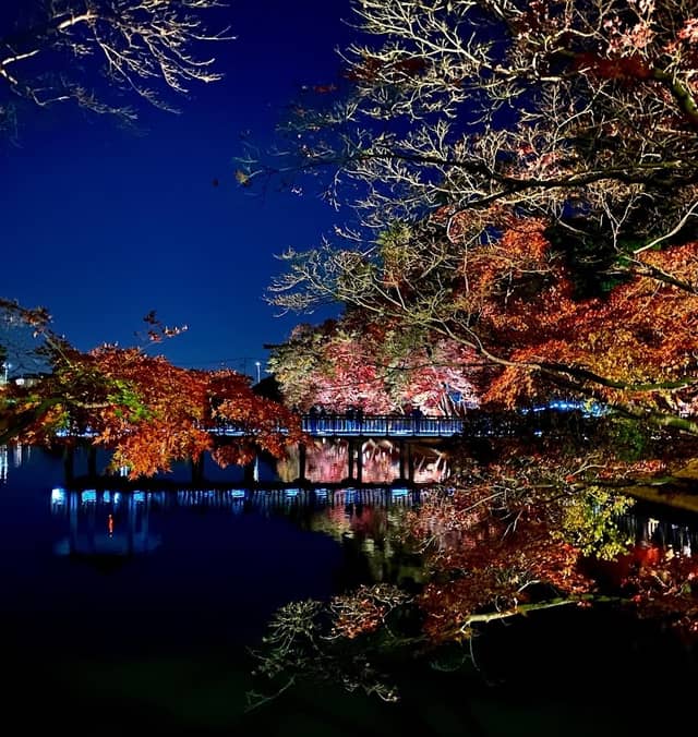 Okazaki City Higashi Park - Image 2