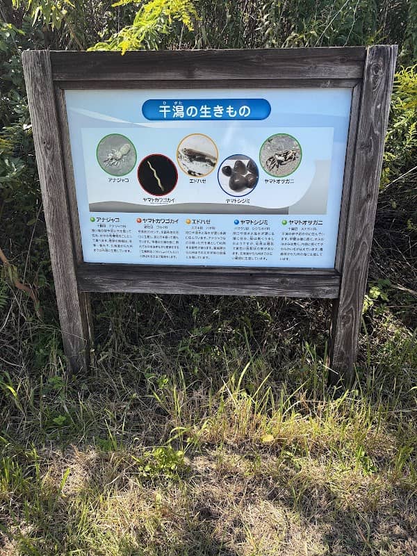 Fujimae Activity Center - Image 3