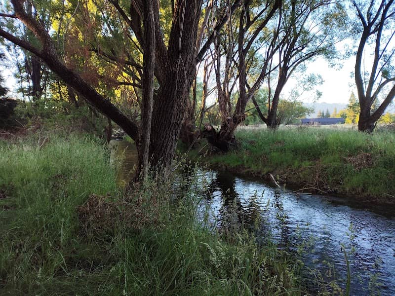 Twizel River Reserve - Image 1