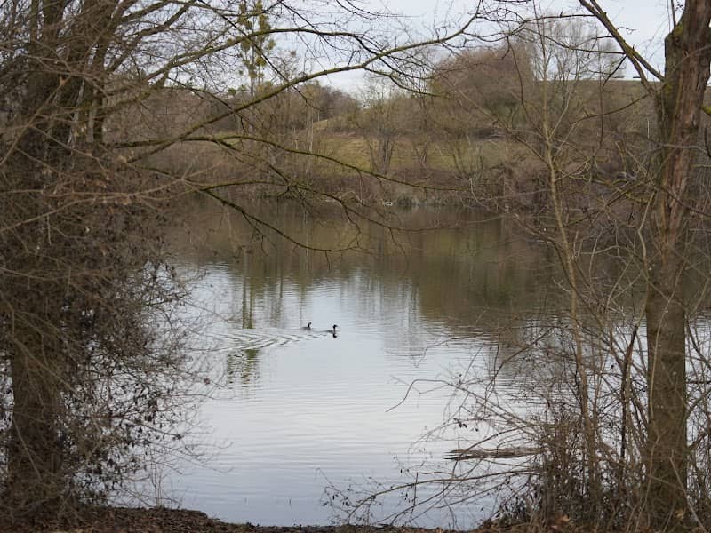 Beobachtungshütte - Image 1