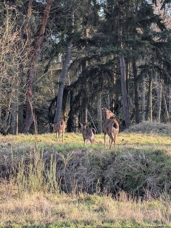 Bishop Park - Image 1