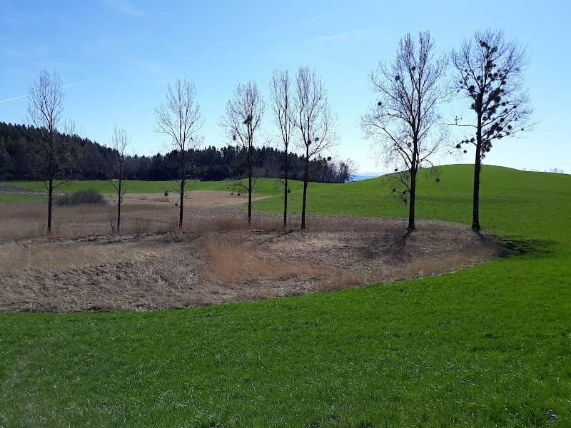 Mahlweiher Landscape Protection Area - Image 1