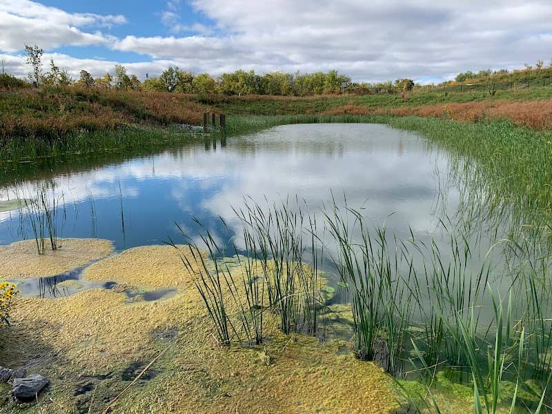 Rainwater Retention Bassin - Image 2