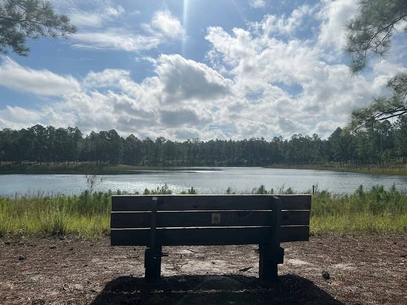Camp Blanding Wildlife Management Area - Image 2