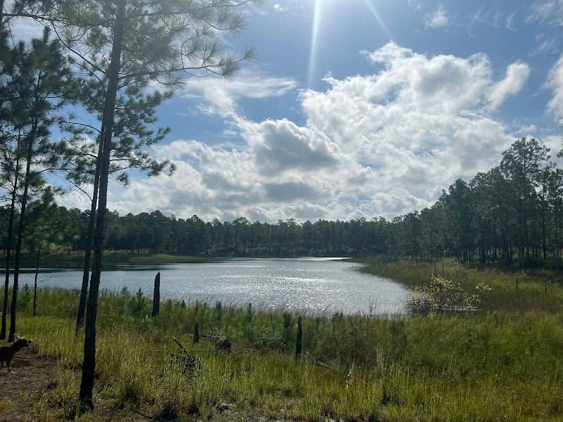Camp Blanding Wildlife Management Area - Image 1