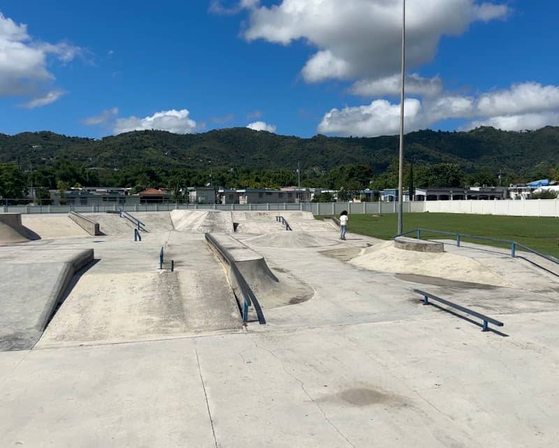 Gurabo Skate Park - Image 2
