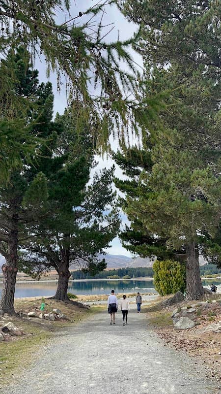 Lake Tekapo Domain Bench - Image 3