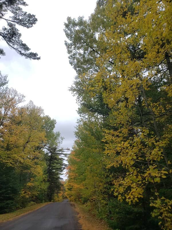 Upson Lake Nature Sanctuary - Image 1