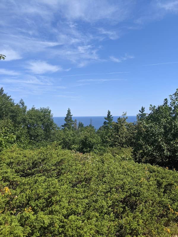 Upson Lake Nature Sanctuary - Image 2