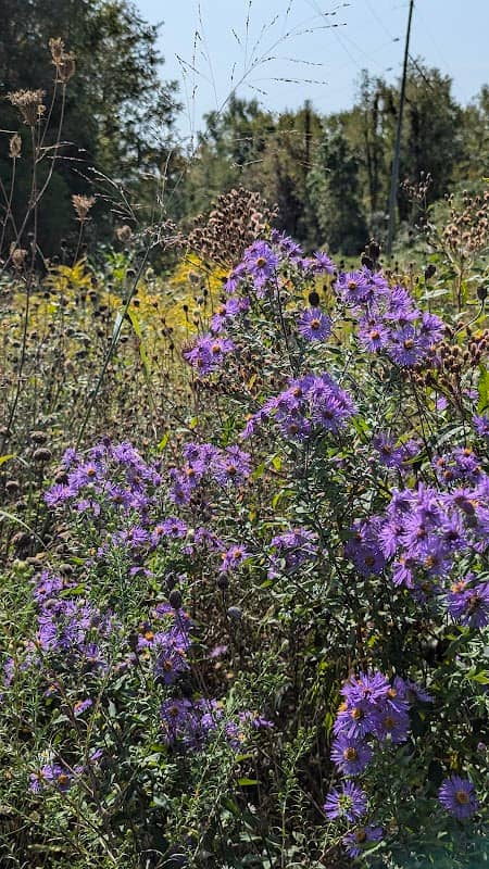 Kalamazoo River Valley Trail - Image 2