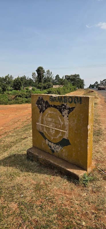 Equator Line gambogi - Image 2