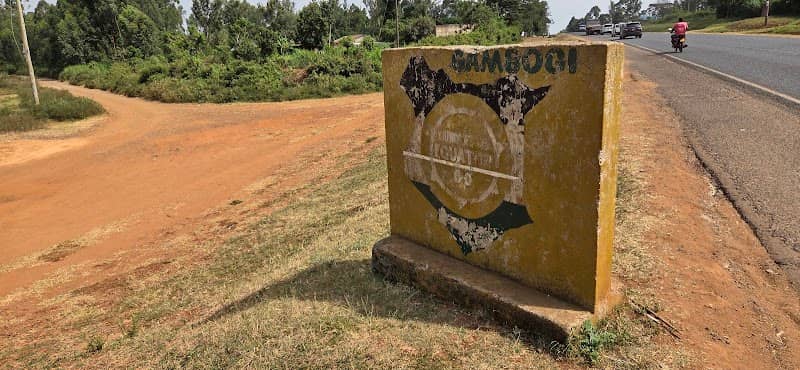 Equator Line gambogi - Image 1