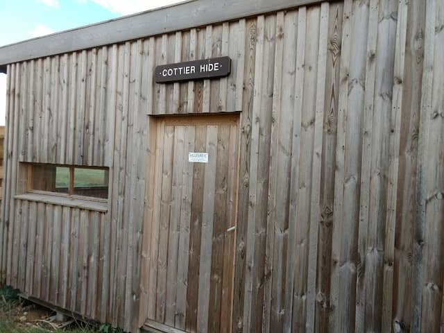 Cottier Hide - Image 1
