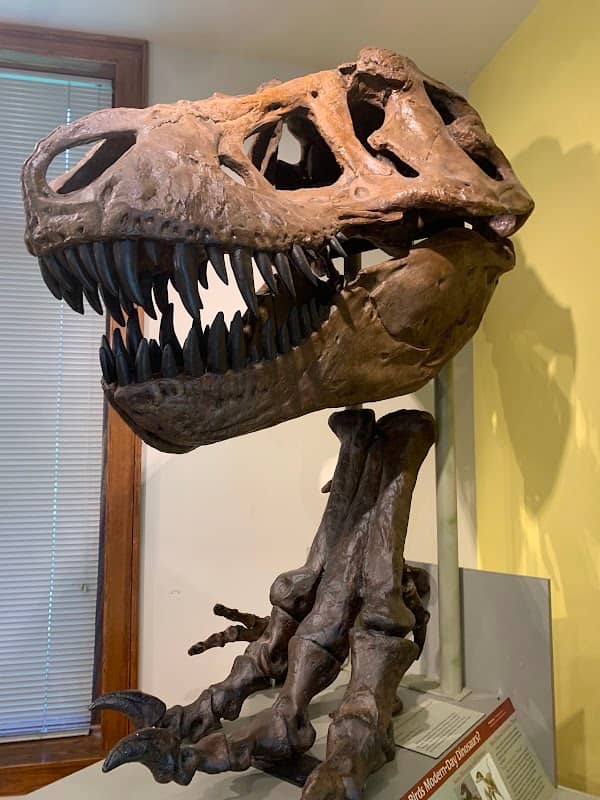 Elgin Public Museum - Image 2