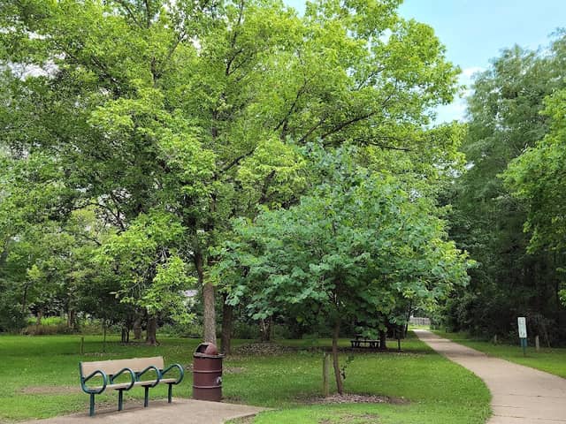Twitty Arboretum - Image 2