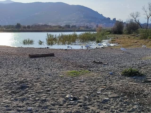 Spiaggia libera - Image 1