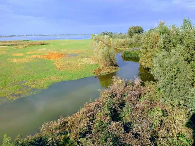 Torre di avvistamento - Valle Mandriole - Nord - Image 1