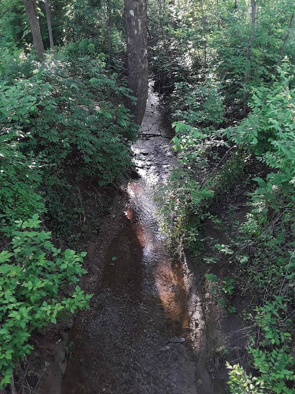 Galloway Creek Nature Park - Image 2