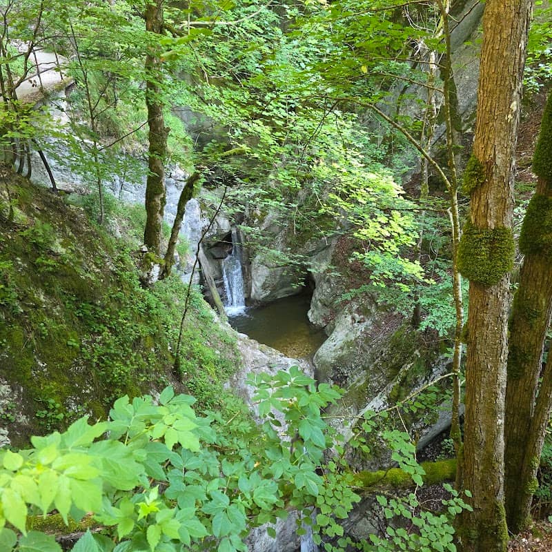Gorges de Covatannaz - Image 1