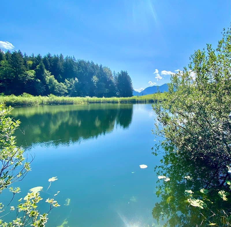 Egelsee - Image 1