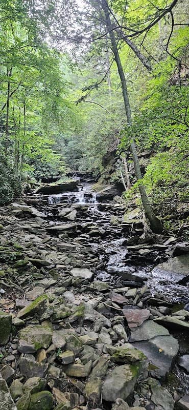 Little Whitestick Falls - Image 1