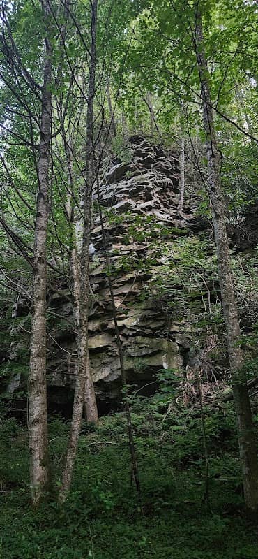 Little Whitestick Falls - Image 2