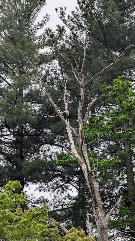 James R. Kanik Nature Trail - Image 2