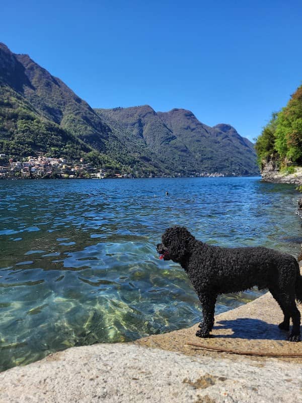 Lido di Quarzano - Image 2