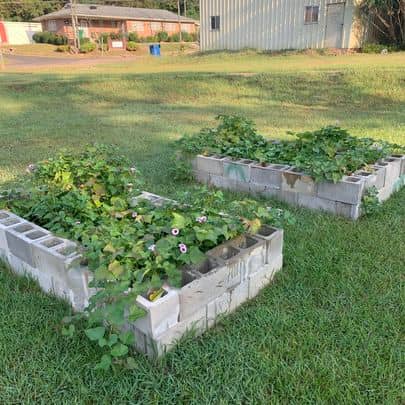 Reclamation Gardens - Image 1
