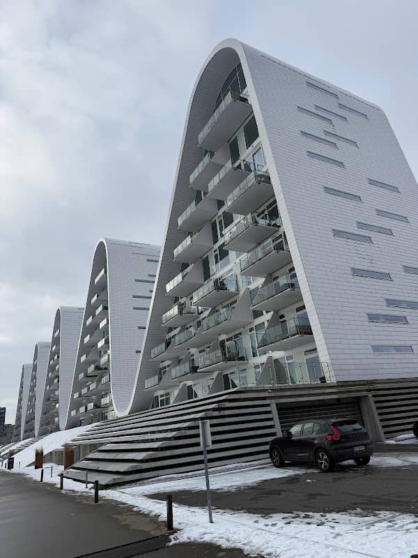 Svineryggen - Image 1