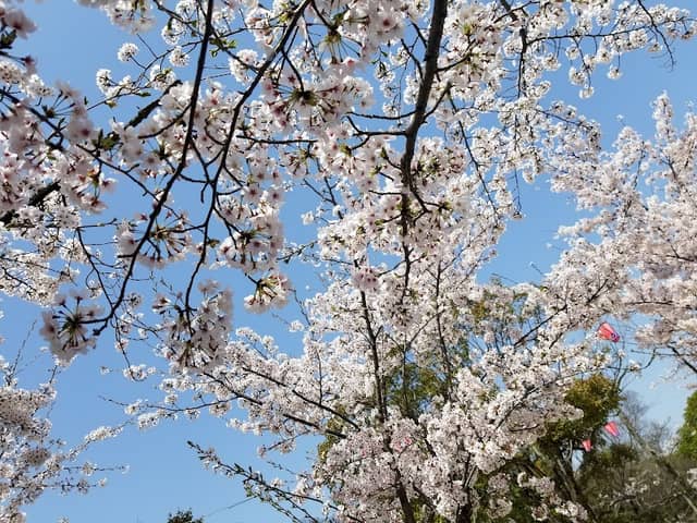 Hayashima Park - Image 1