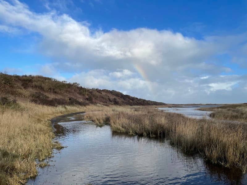 Slufter noord - Image 1