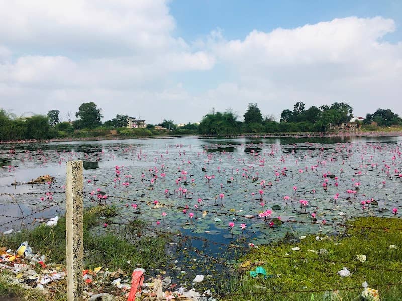 Basargarh talab - Image 1