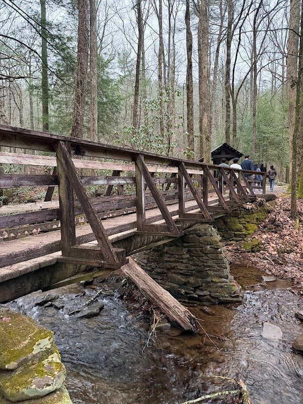 DeSoto Falls Trail Parking - Image 3