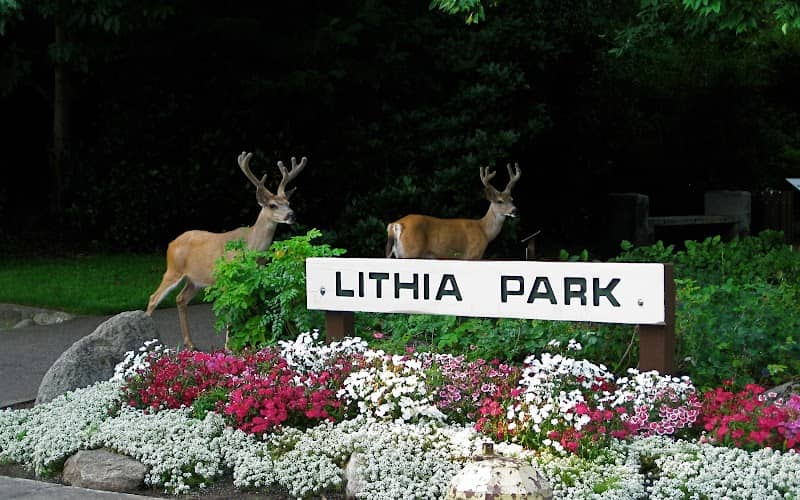 Lithia Park - Image 1