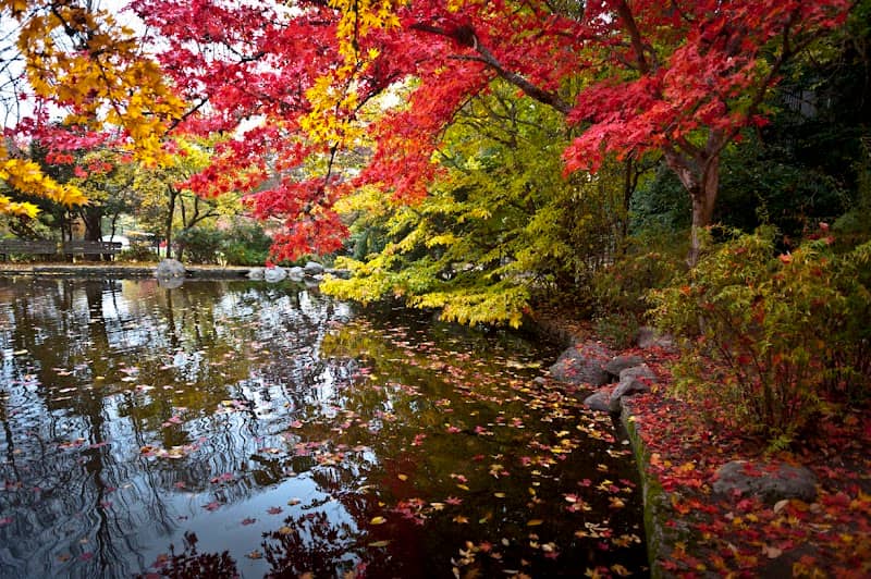 Lithia Park - Image 2