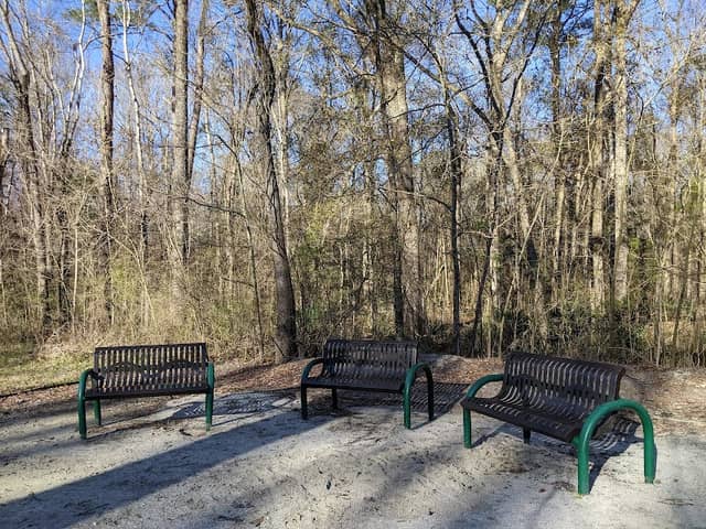 Sawmill Ridges Trail - Image 2
