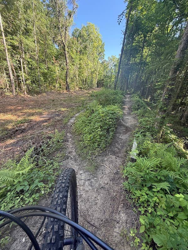 Sawmill Ridges Trail - Image 1