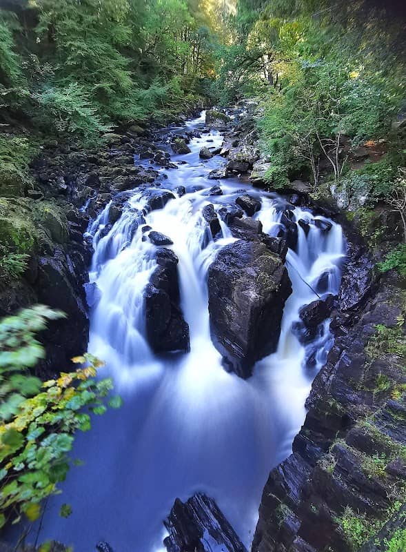 Tay Forest Park - Image 1