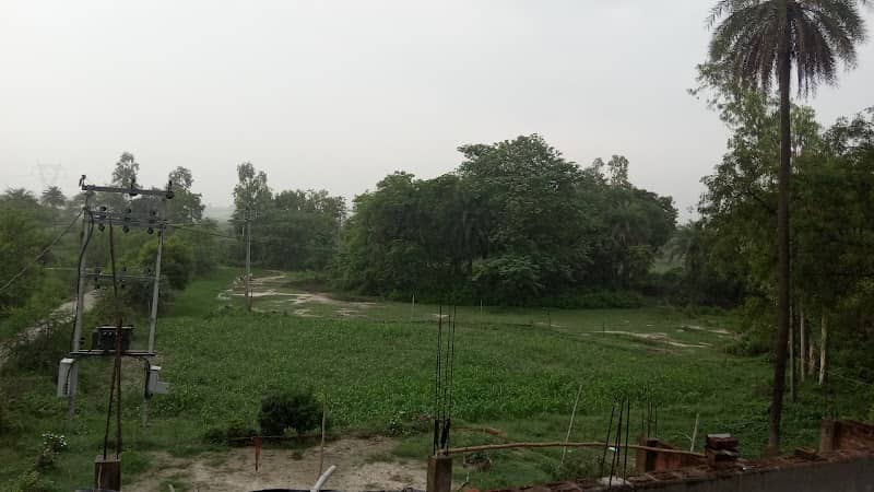 Mira park - Image 1