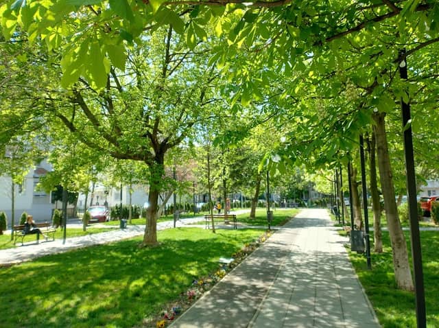 Parcul Cămin - Image 1