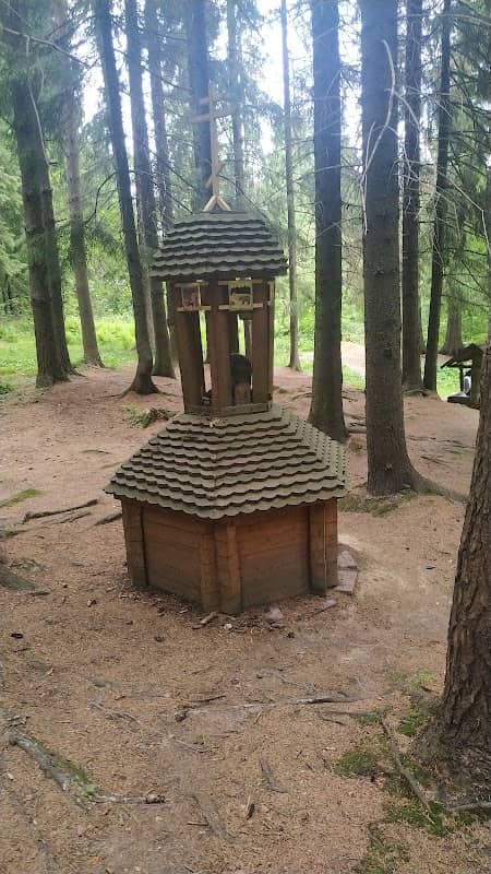 forest Spring - Image 1