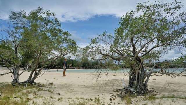 Cape Fahn Beach - Image 1