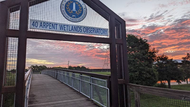 40 Arpent Wetlands Observatory - Image 2