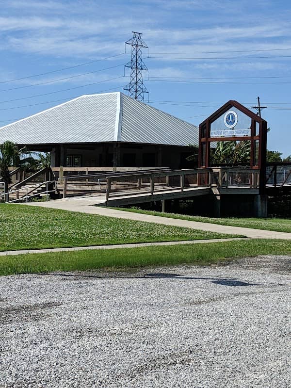 40 Arpent Wetlands Observatory - Image 1