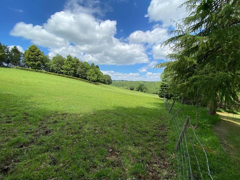 Bodenham Arboretum - Image 2