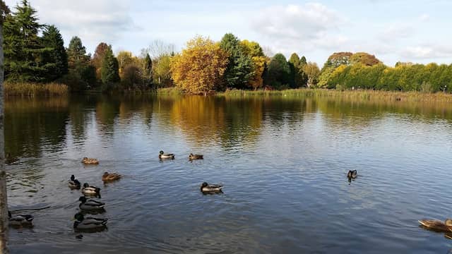 Bodenham Arboretum - Image 1