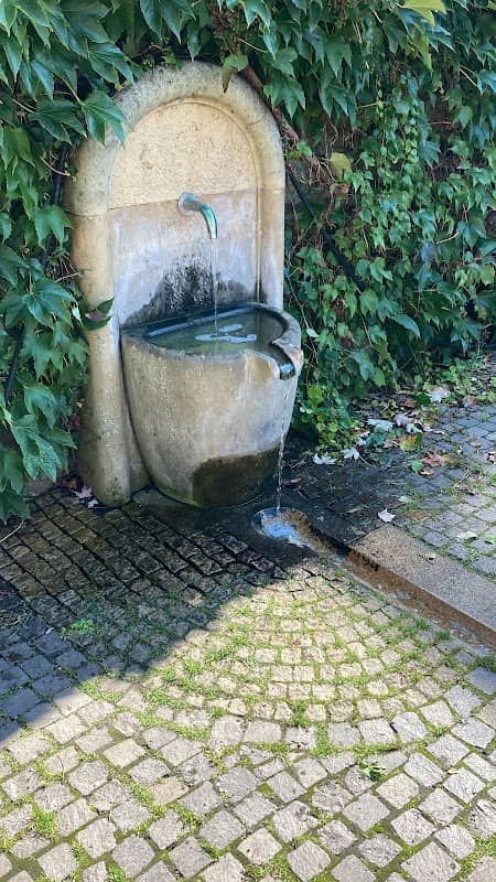 Stadtbrunnen - Image 1