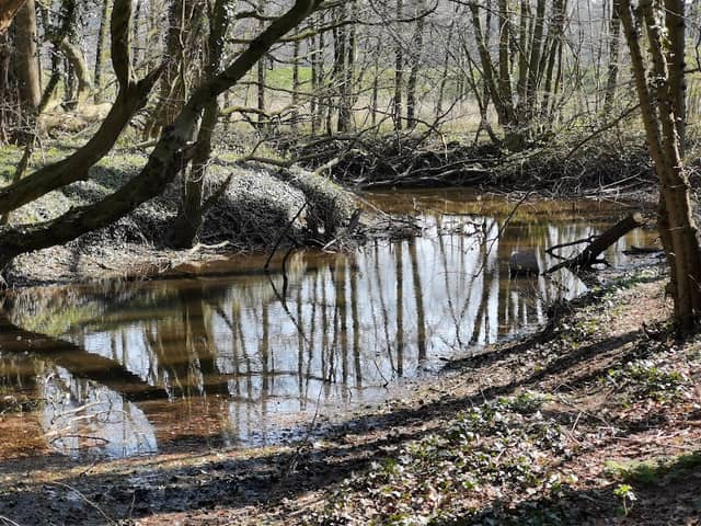 Tillenberge - Image 1