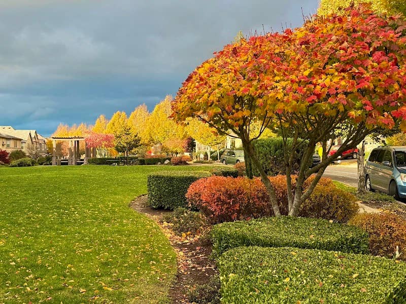 Forest Ridge Park - Image 2